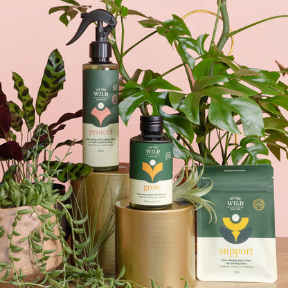 Jungle Bells Plant Care Gift Kit