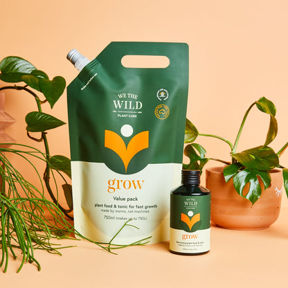 Winter Plant Growth Kit