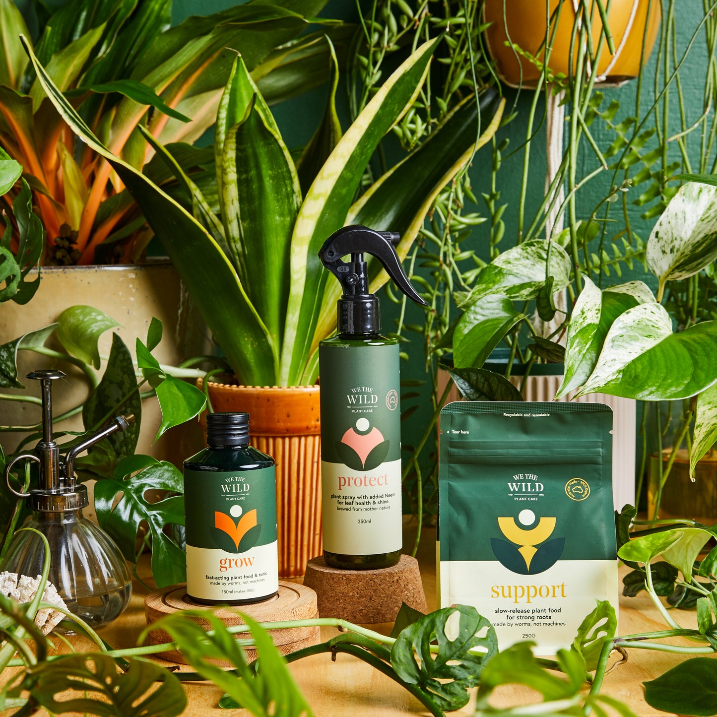 Plant Lover Christmas Plant Care Kit