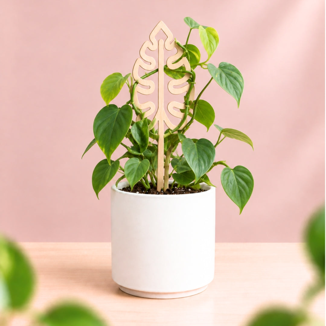 Brass Houseplant Grow Poles