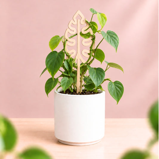 Brass Houseplant Grow Poles