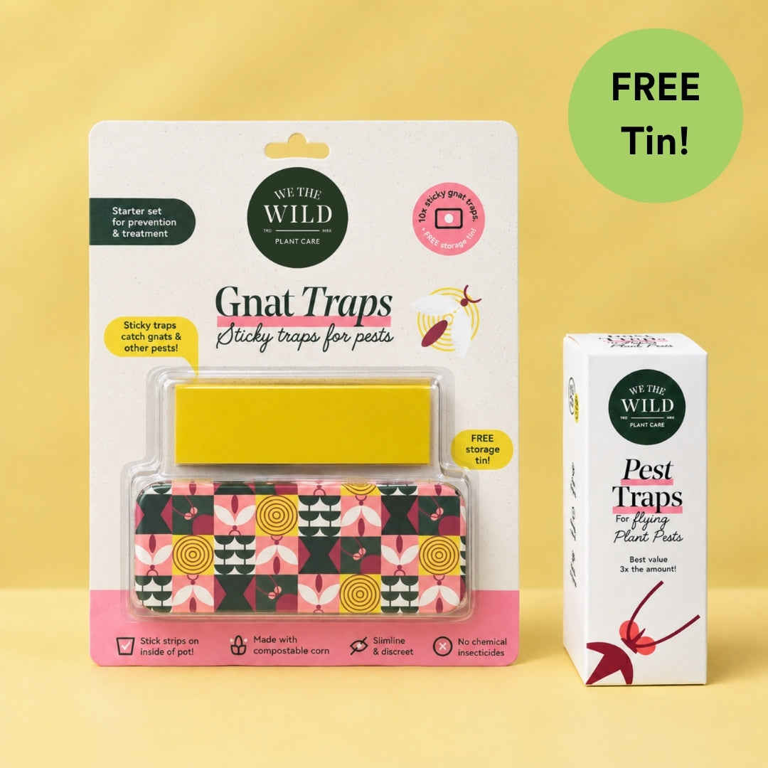 Fungus Gnat Compostable Sticky Traps