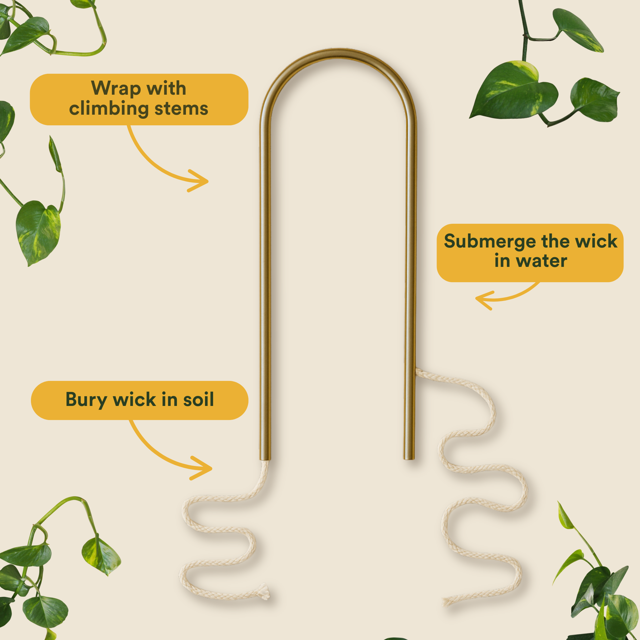 Self-Watering Plant Climber - Thumbnail 4