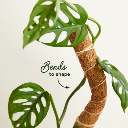 Coco Climber Stackable & Bendable Grow Pole