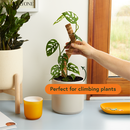 Coco Climber Stackable & Bendable Grow Pole