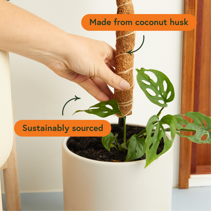 Coco Climber Stackable & Bendable Grow Pole