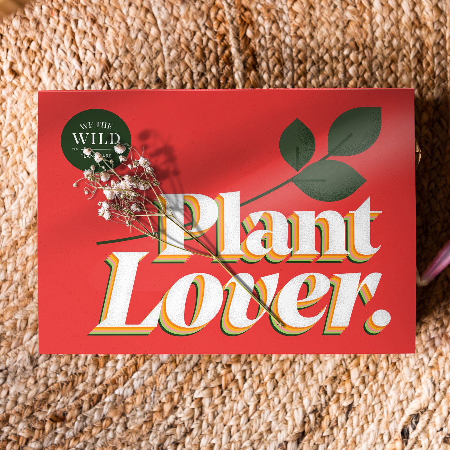 Plant Lover Christmas Plant Care Kit