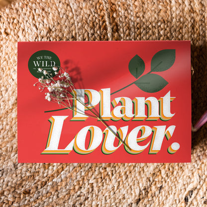 Plant Lover Christmas Plant Care Kit