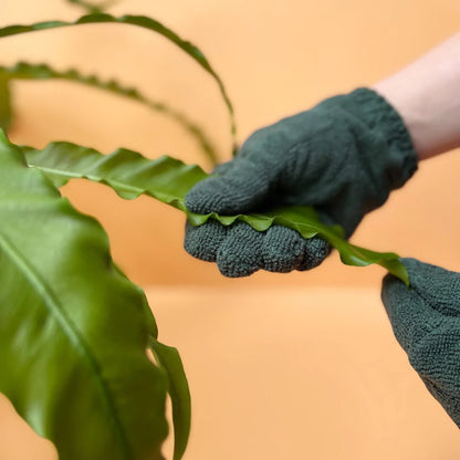 Pest & Leaf Shine Kit