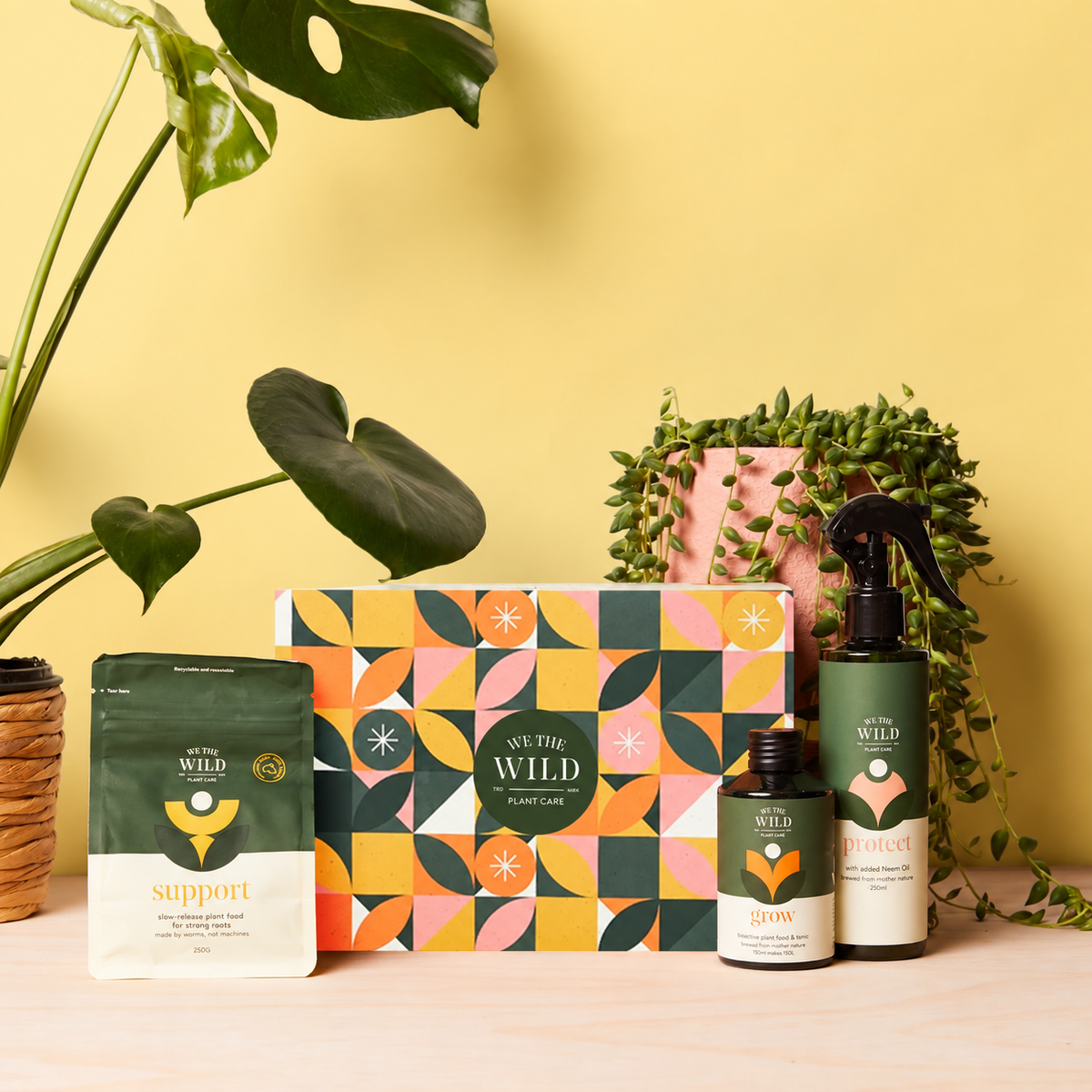 Limited Edition Gift Kits