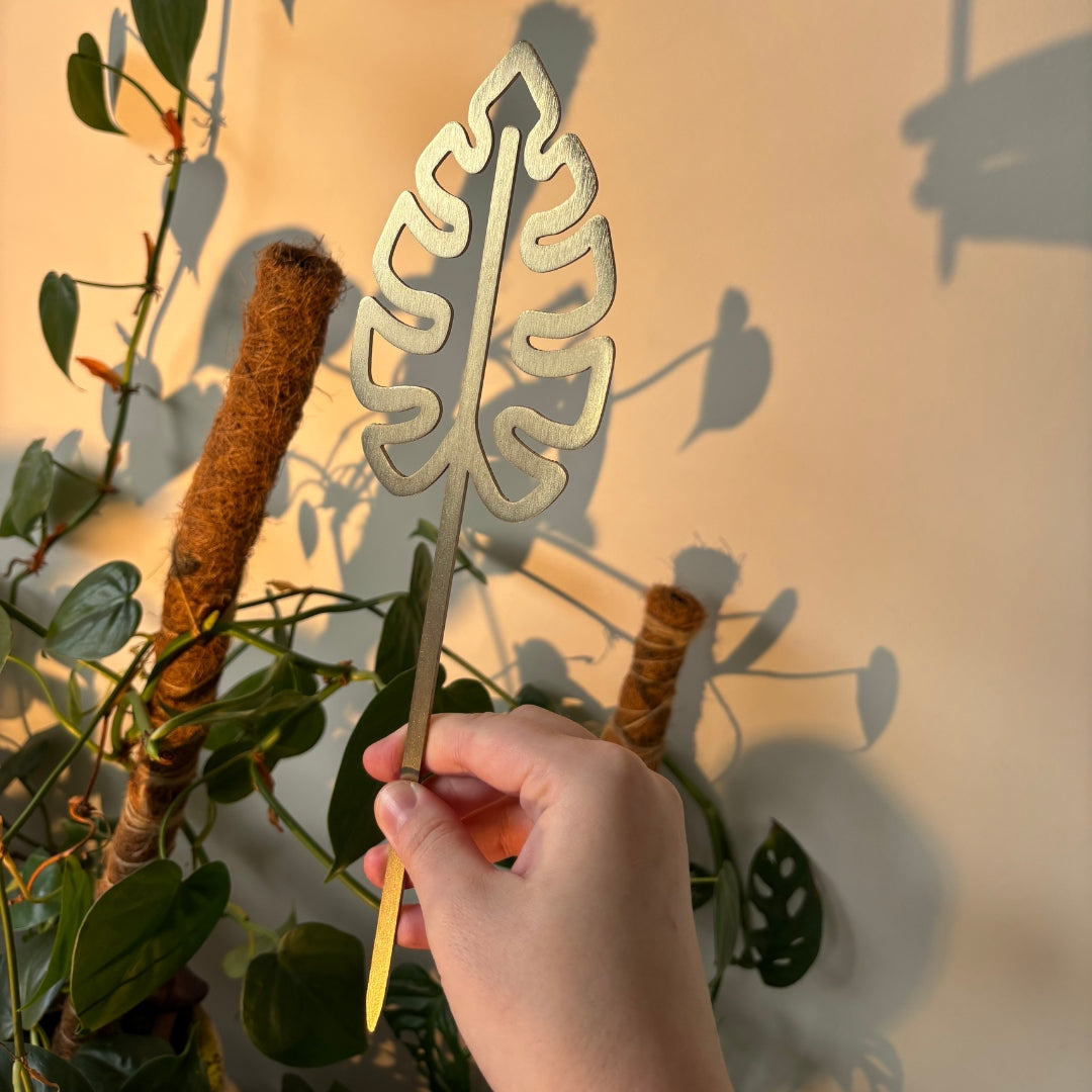 Brass Houseplant Grow Poles