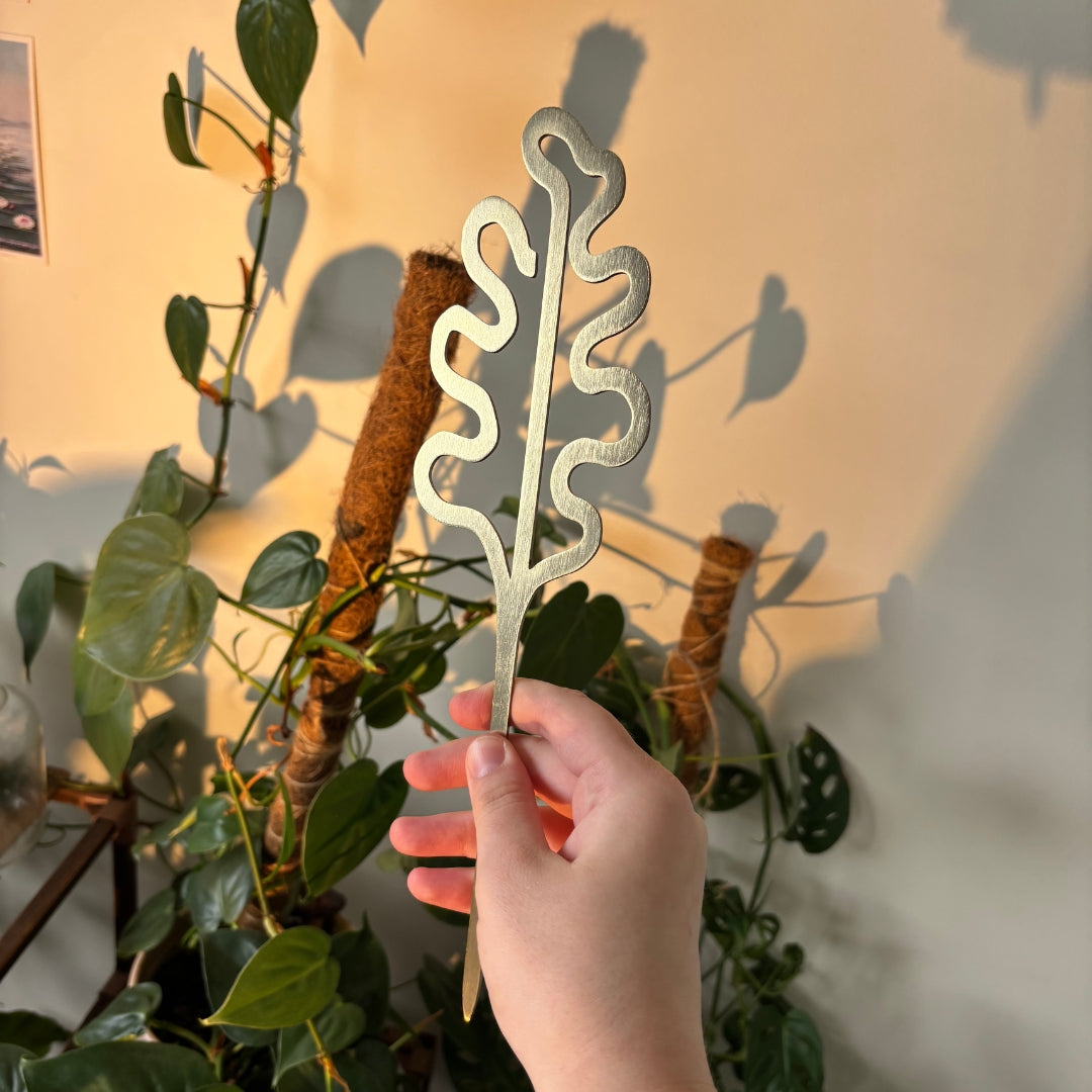 Brass Houseplant Grow Poles