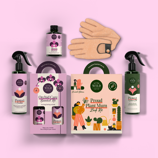 Gift Box Duo