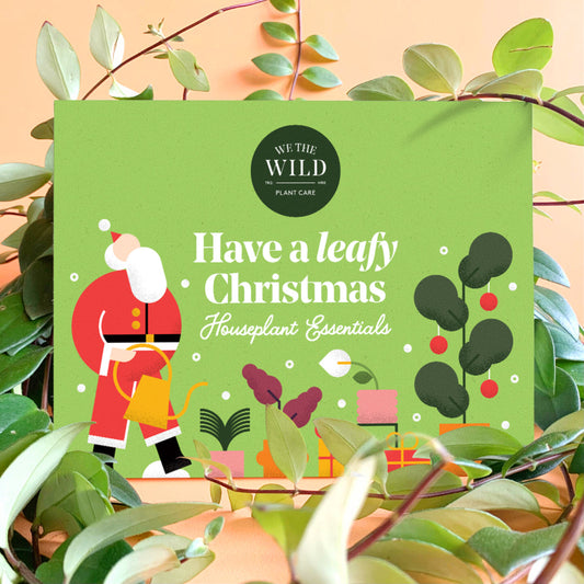 Green Santa Essential Kit