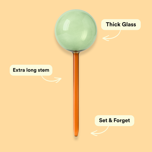 PRE-ORDER Self-Watering Globe