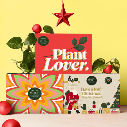 Christmas Gift Box Bundle