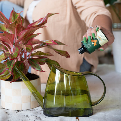Plant Mum Gift Bundle