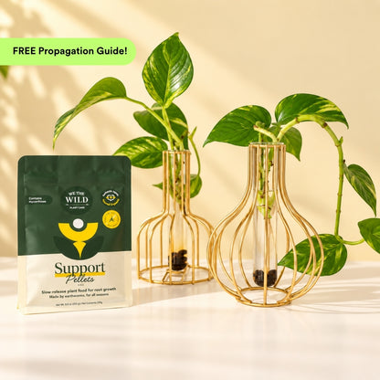 Brass Propagation Bundle