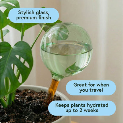 Self-Watering Globe