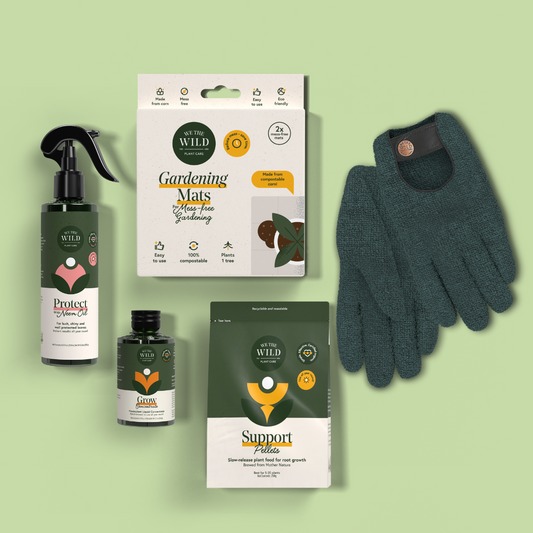 Houseplant Starter Kit