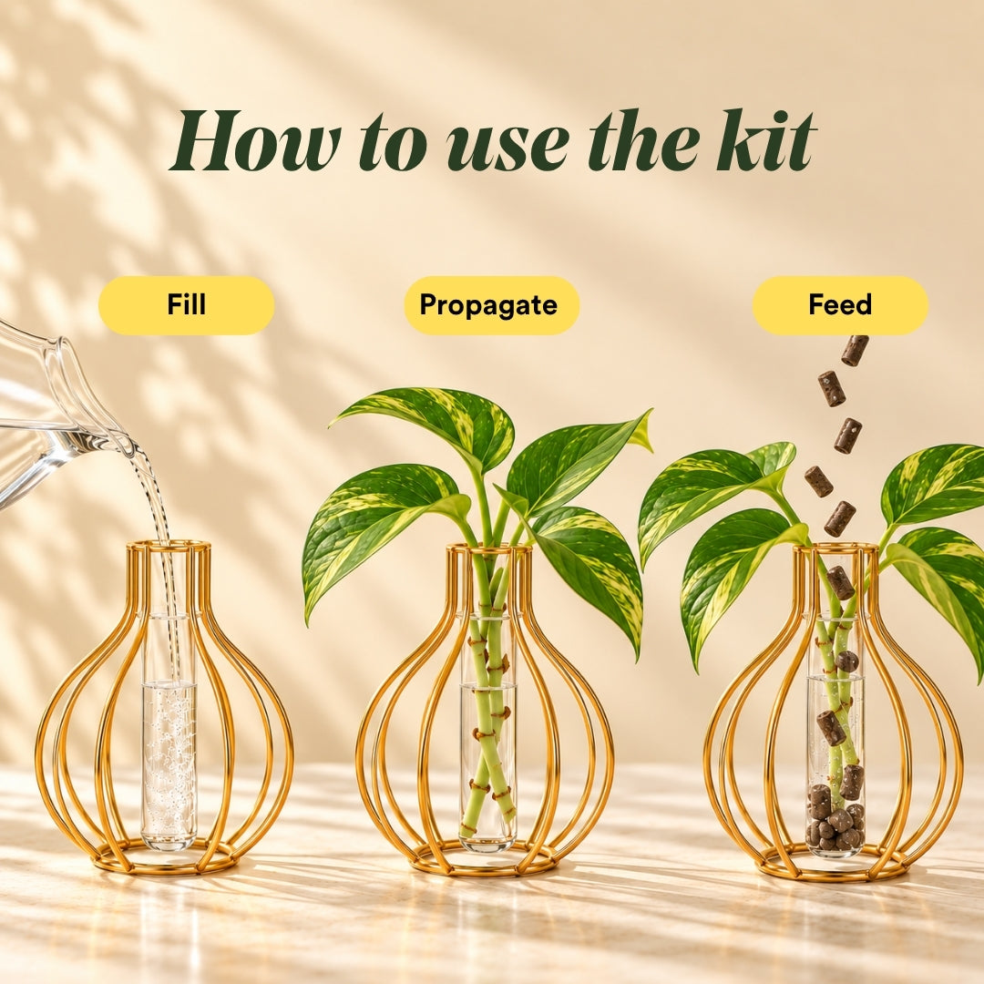 Brass Propagation Bundle