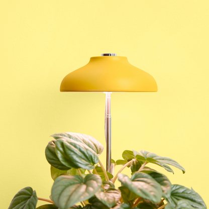 Instant Sun Grow Lamp