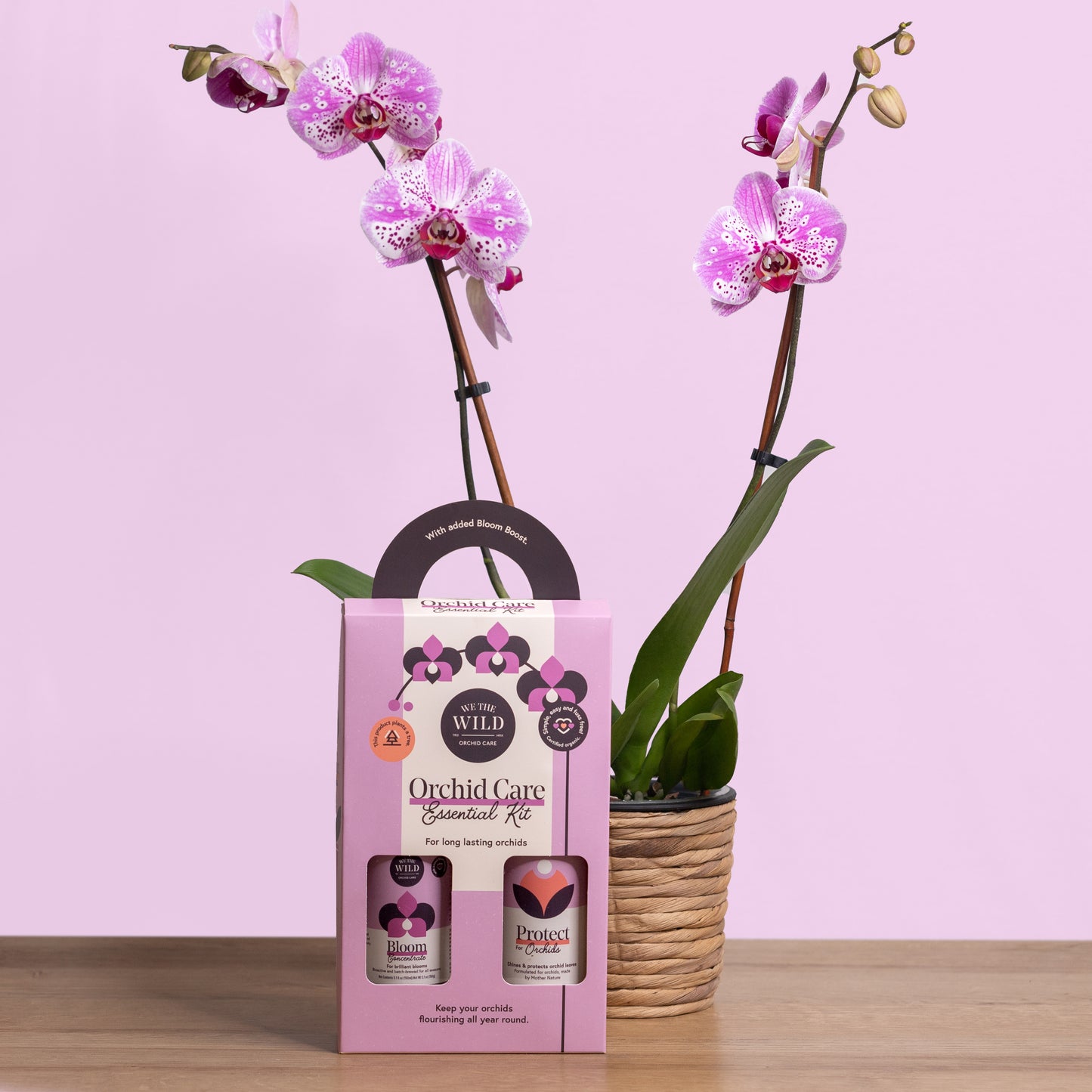 Orchid Care Duo