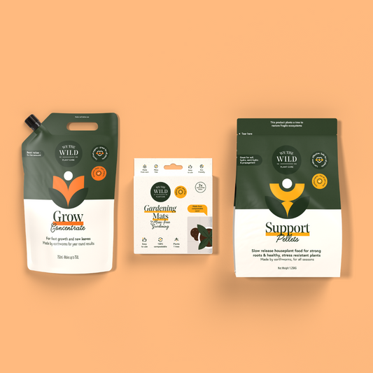 Slow & Fast Release Plant Food Kit
