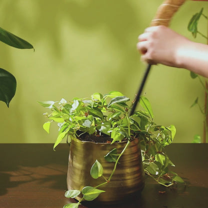 Coco Climber Stackable Grow Pole