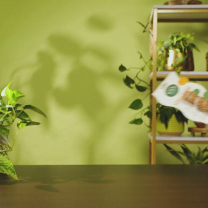 Coco Climber Stackable Grow Pole