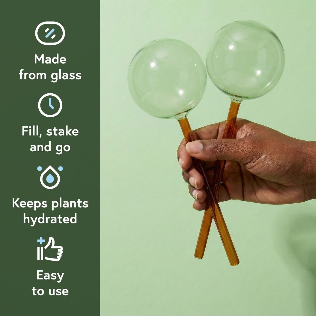 Self-Watering Globe