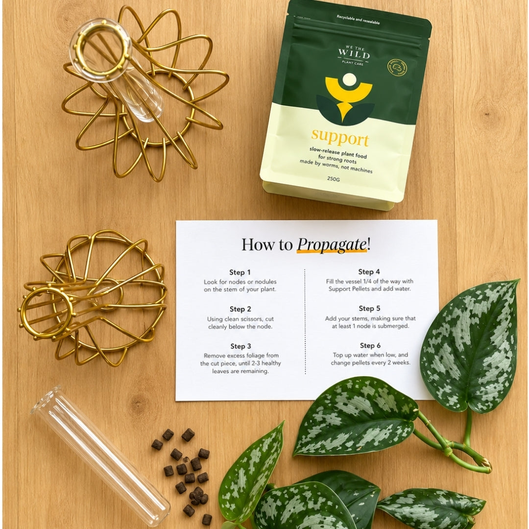 Brass Propagation Bundle