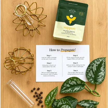 Brass Propagation Bundle