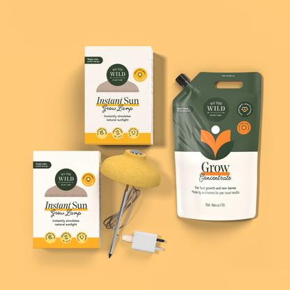Winter Plant Growth Kit