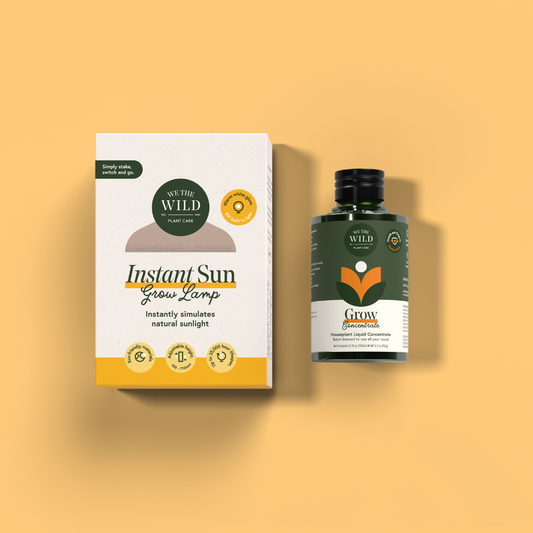 Winter Plant Growth Kit