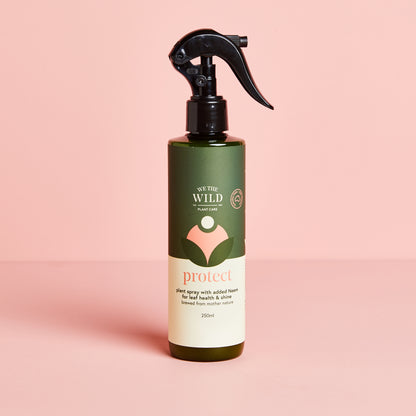 Pest & Leaf Shine Kit