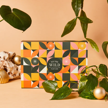 Jungle Bells Giftbox