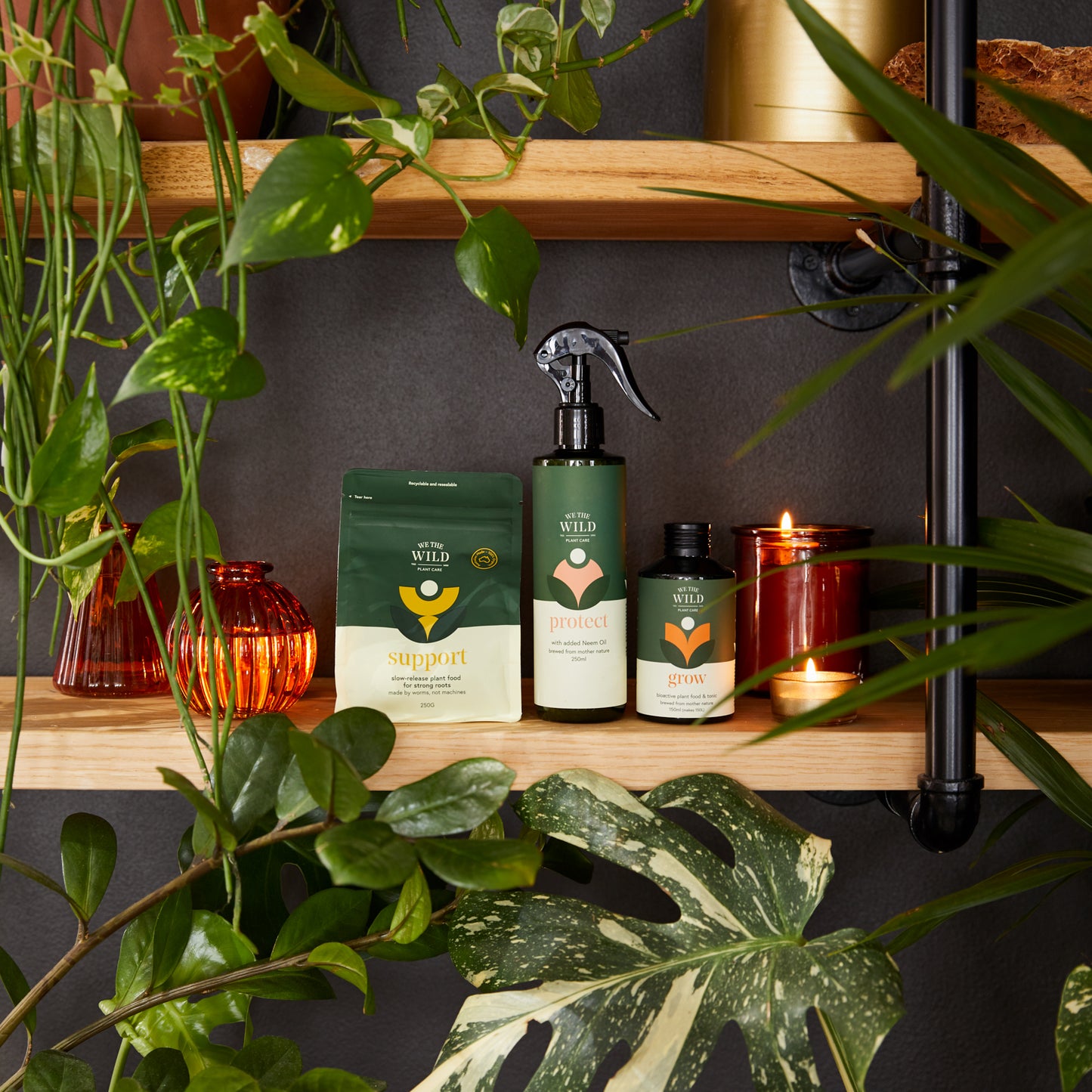 Seasons Greenings Giftbox