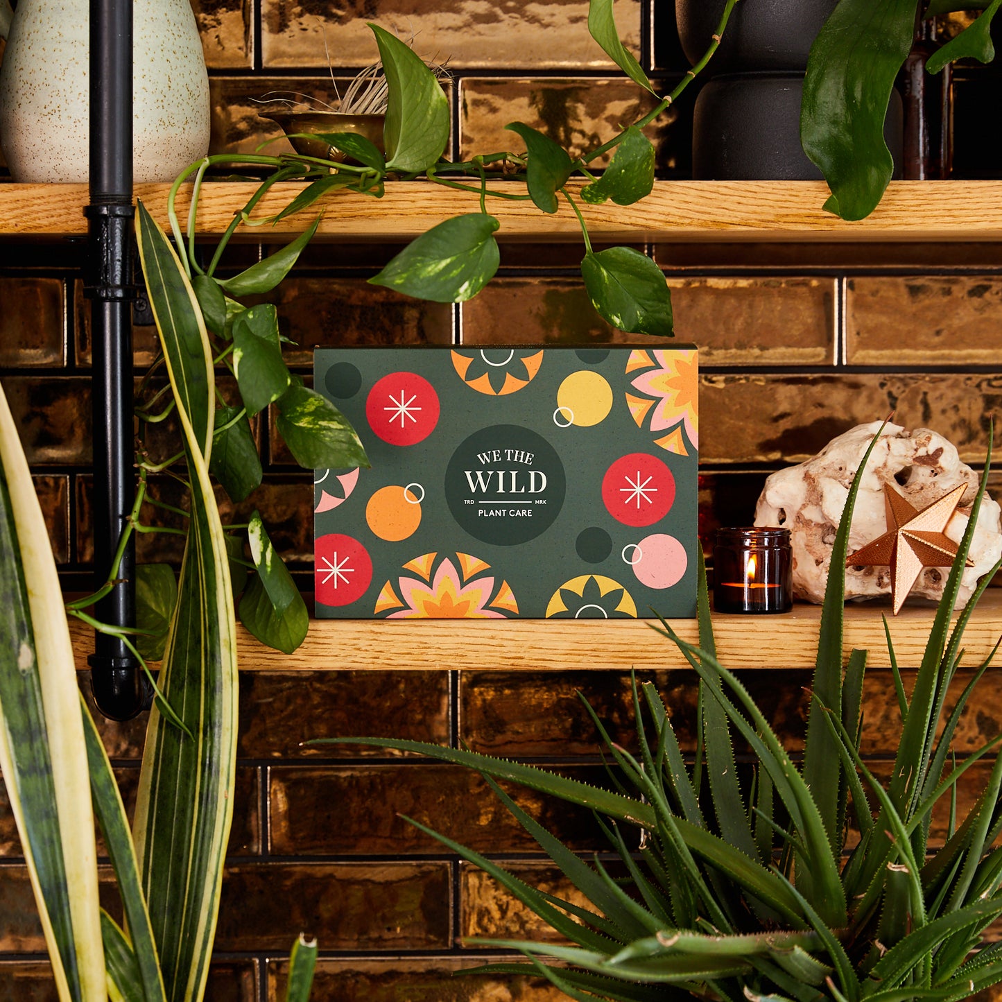Seasons Greenings Giftbox