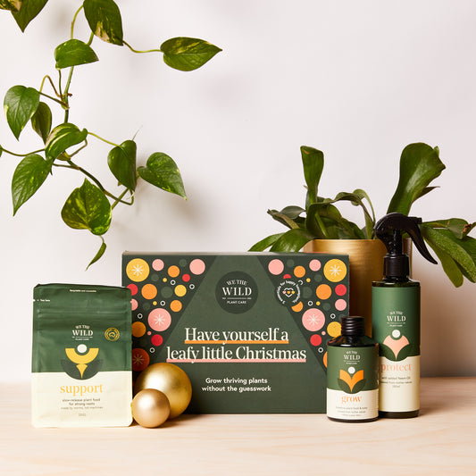 Leafy Christmas Kit